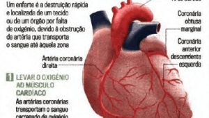 Imagem   Reportagem CM