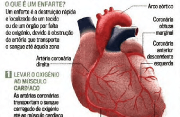 Imagem   Reportagem CM