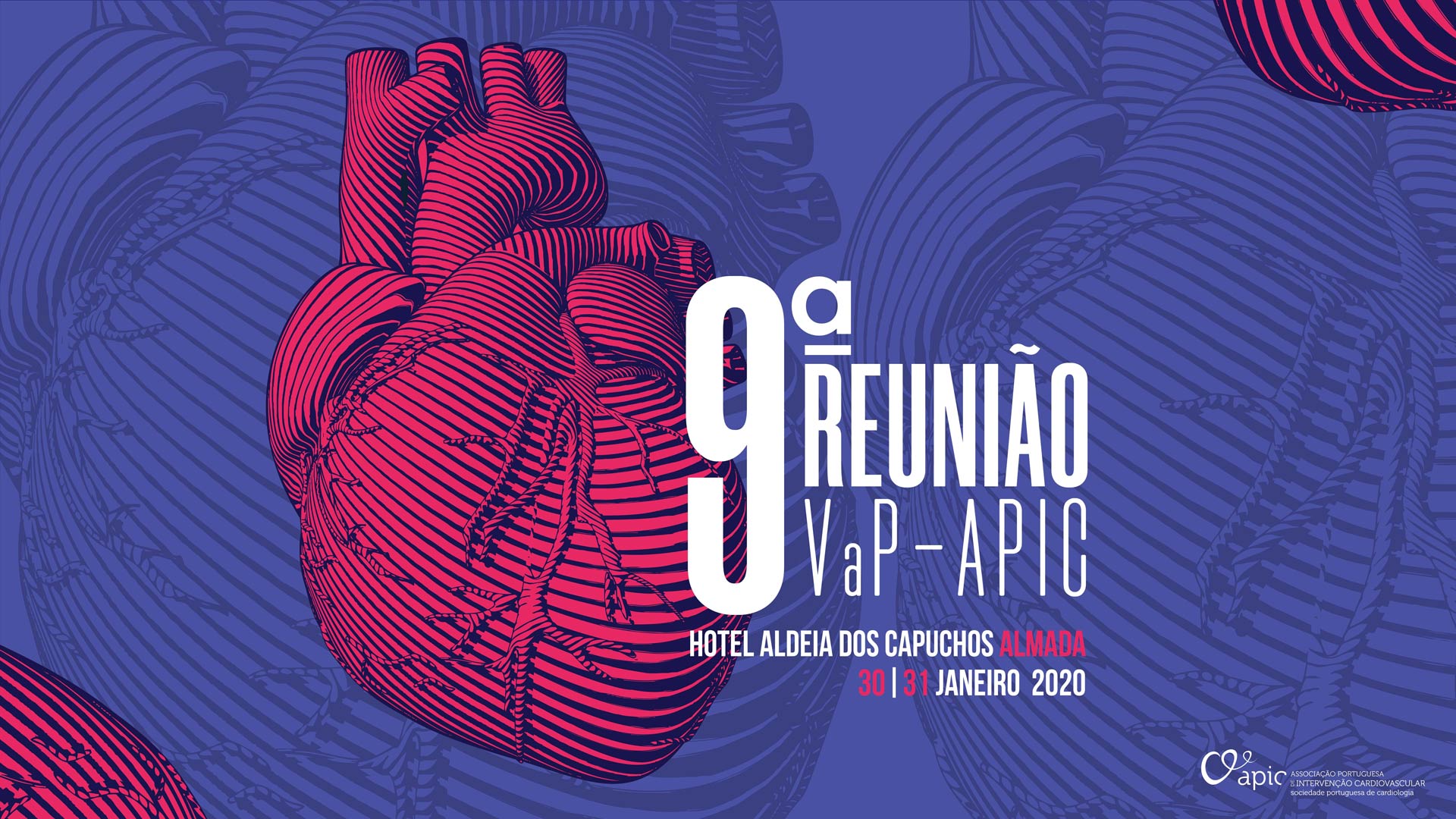 Imagem 9 Reuniao VaP APIC