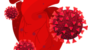 coracao virus