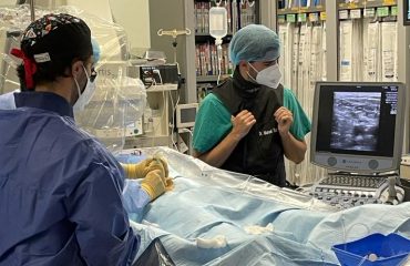 D@cl Coimbra 3 e1632145542898