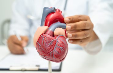 Cardiologia Cardiologia